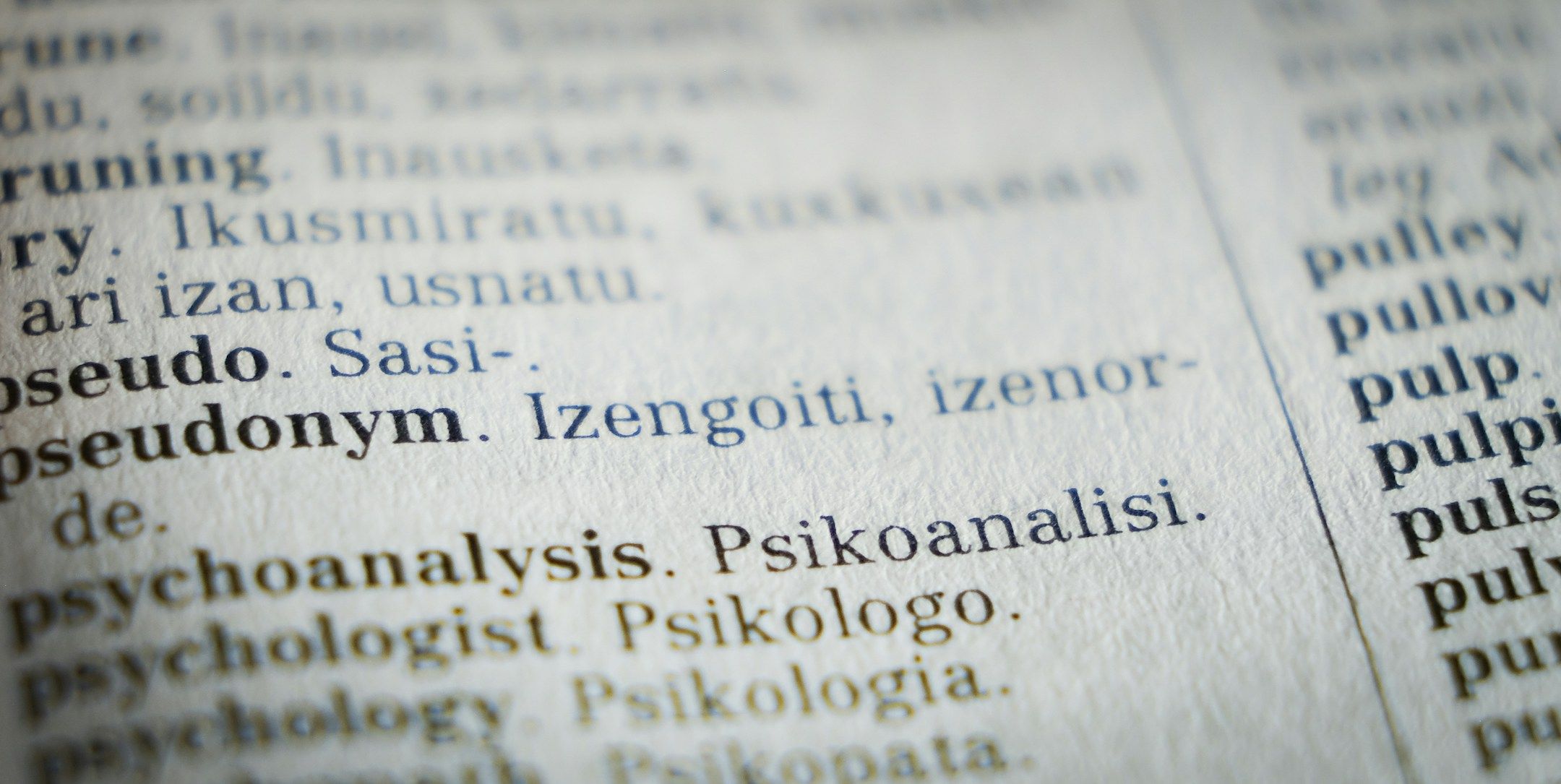 euskera in dictionary